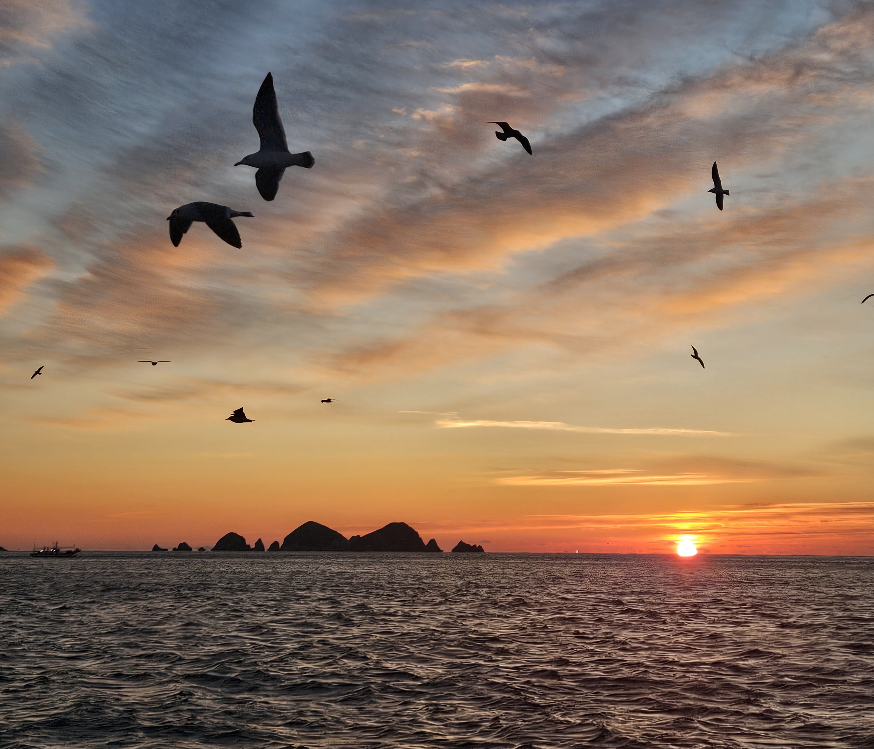 2026년 새해 선상해맞이행사 & 떡국나눔행사